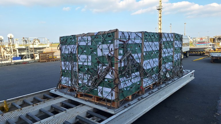 Aviões da Fórmula 1 voltam para Europa carregados de frutas