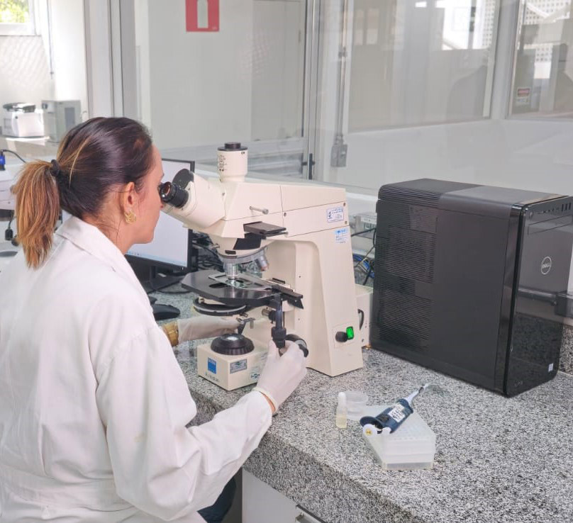Viabilidade econômica de biofábricas de bacillus thuringiensis (bt)