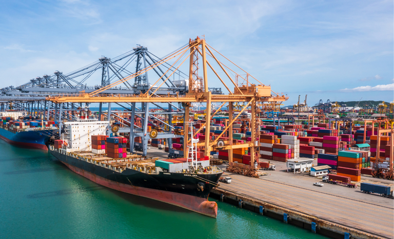 Exportações de soja e milho registram desempenho distinto em 2024