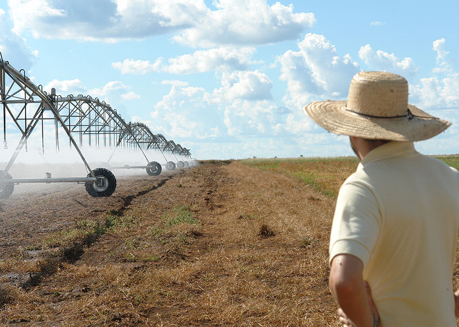 Bahia e Minas Gerais no topo do ranking de irrigação no Brasil