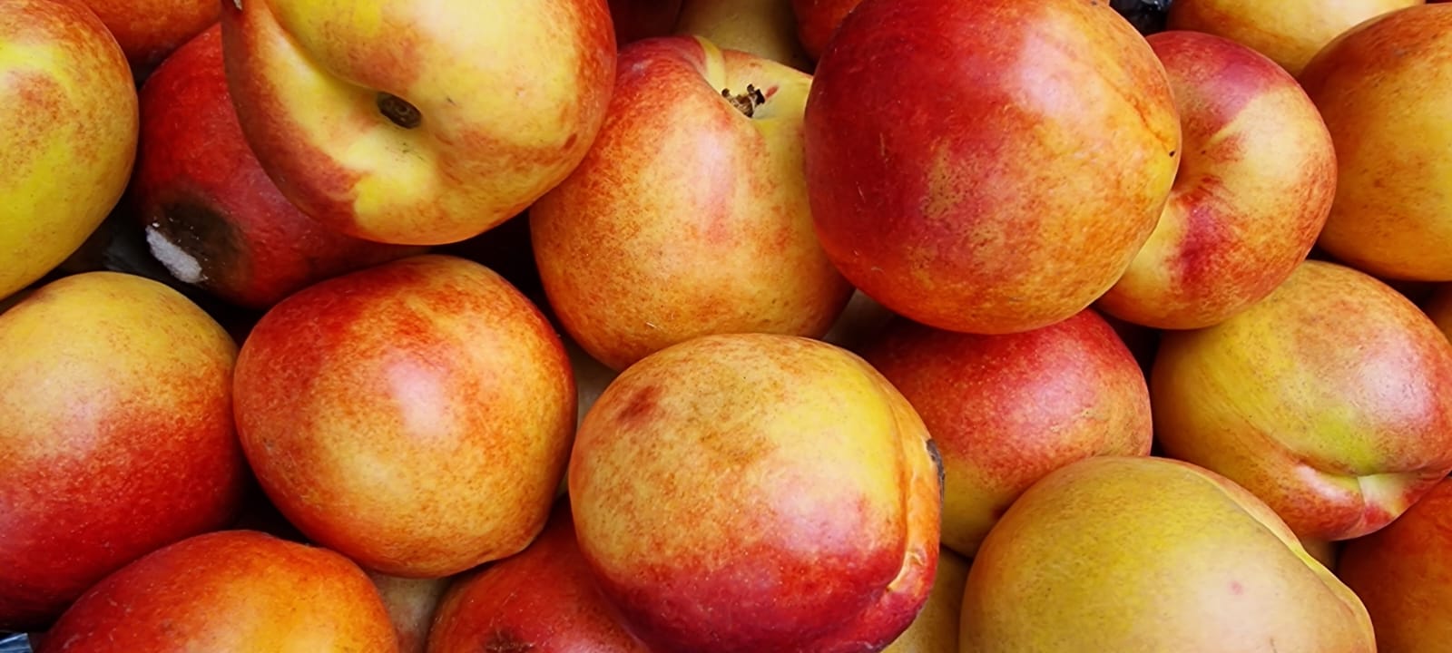 A tradição das frutas no Natal