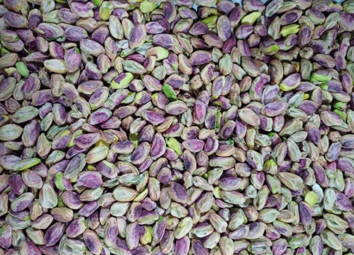 Área de pistache cresce 500% na Argentina enquanto Brasil prepara primeiro cultivo