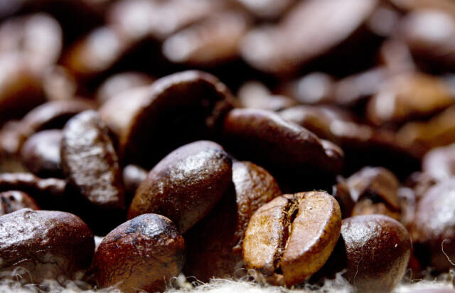 Produção de café no Brasil deve atingir 51,81 milhões de sacas 