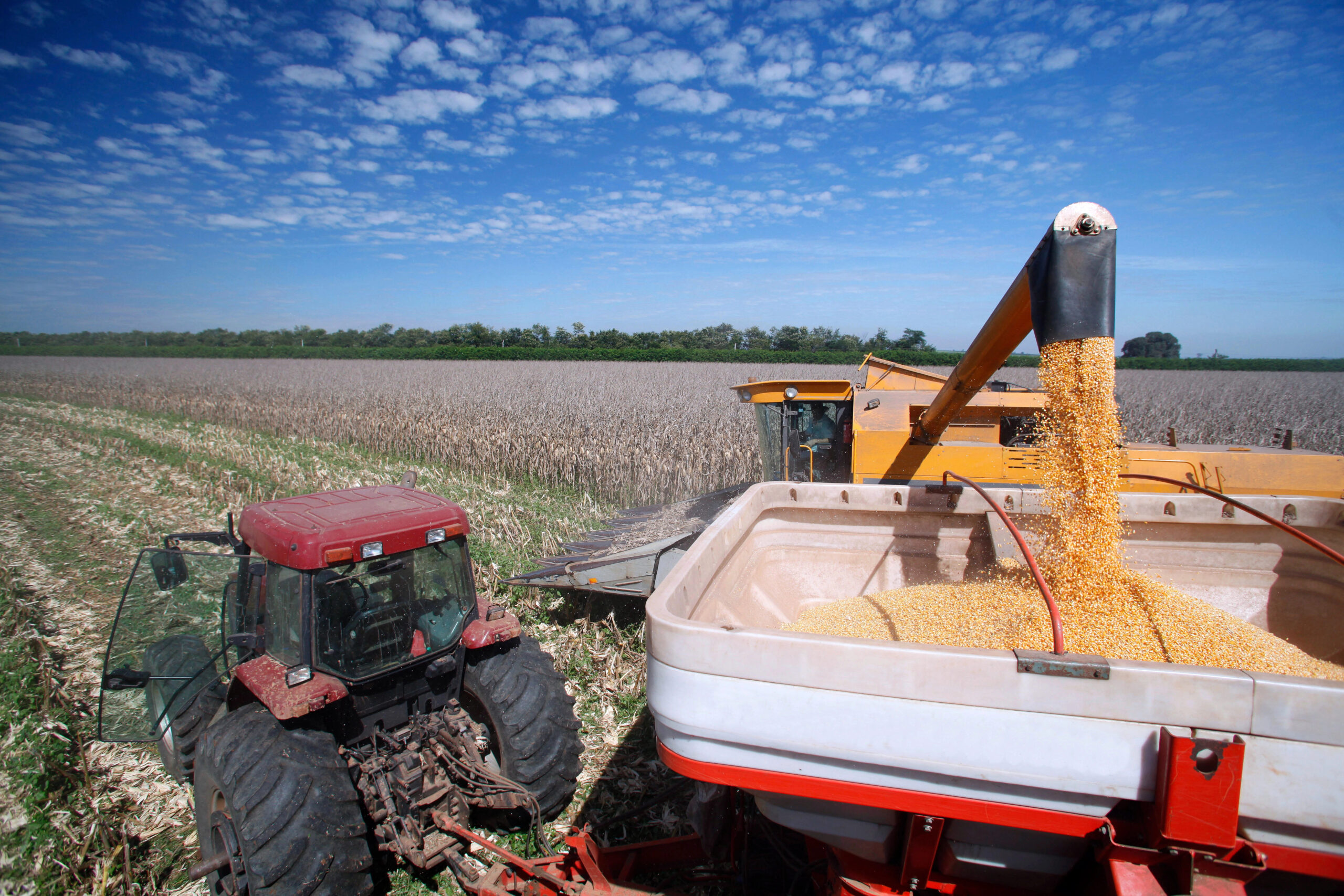 BNDES aprova R$ 52,3 bilhões para o agro em 2024, um recorde no setor