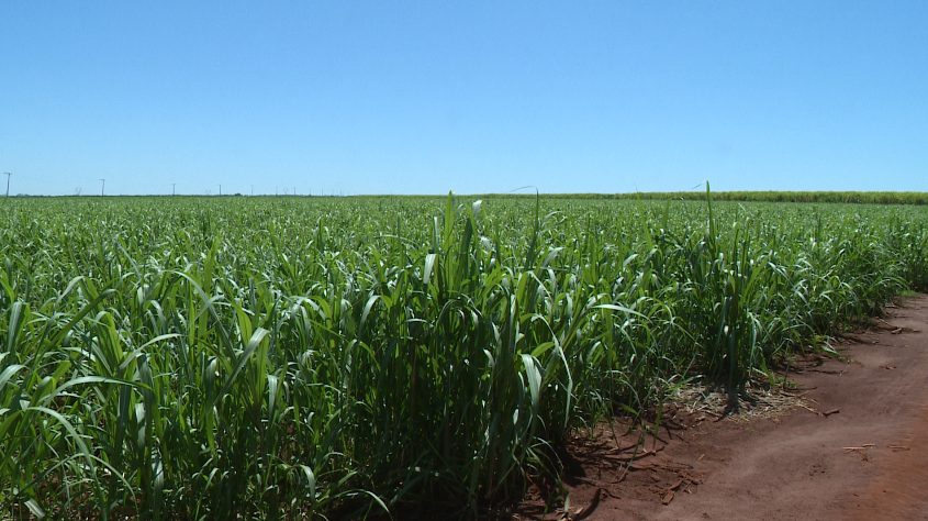 Projeto amplia isenção fiscal para adubos, fertilizantes e defensivos agrícolas