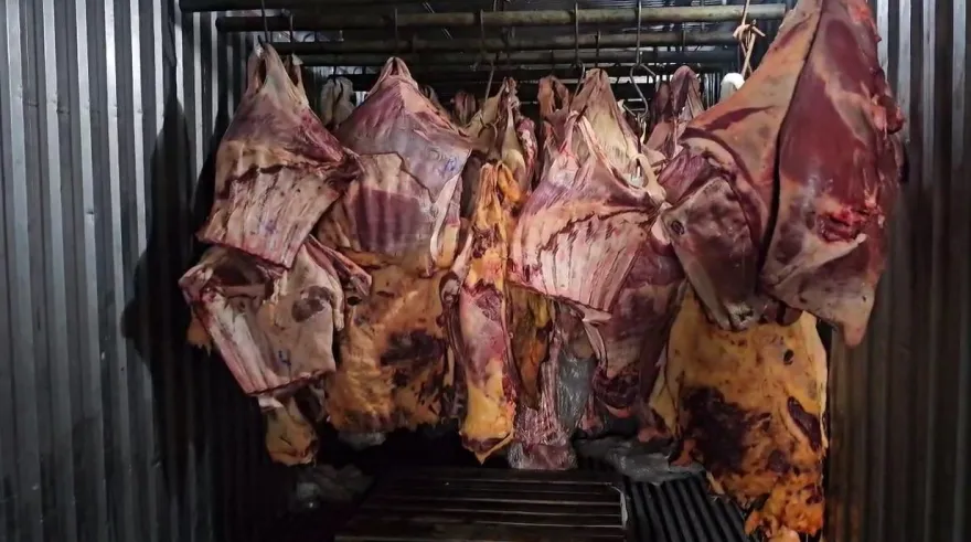 Carne estragada: Entenda os riscos para a saúde