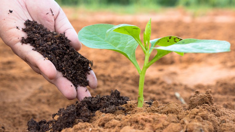 Índice de Poder de Compra de Fertilizantes se mantém estável em fevereiro