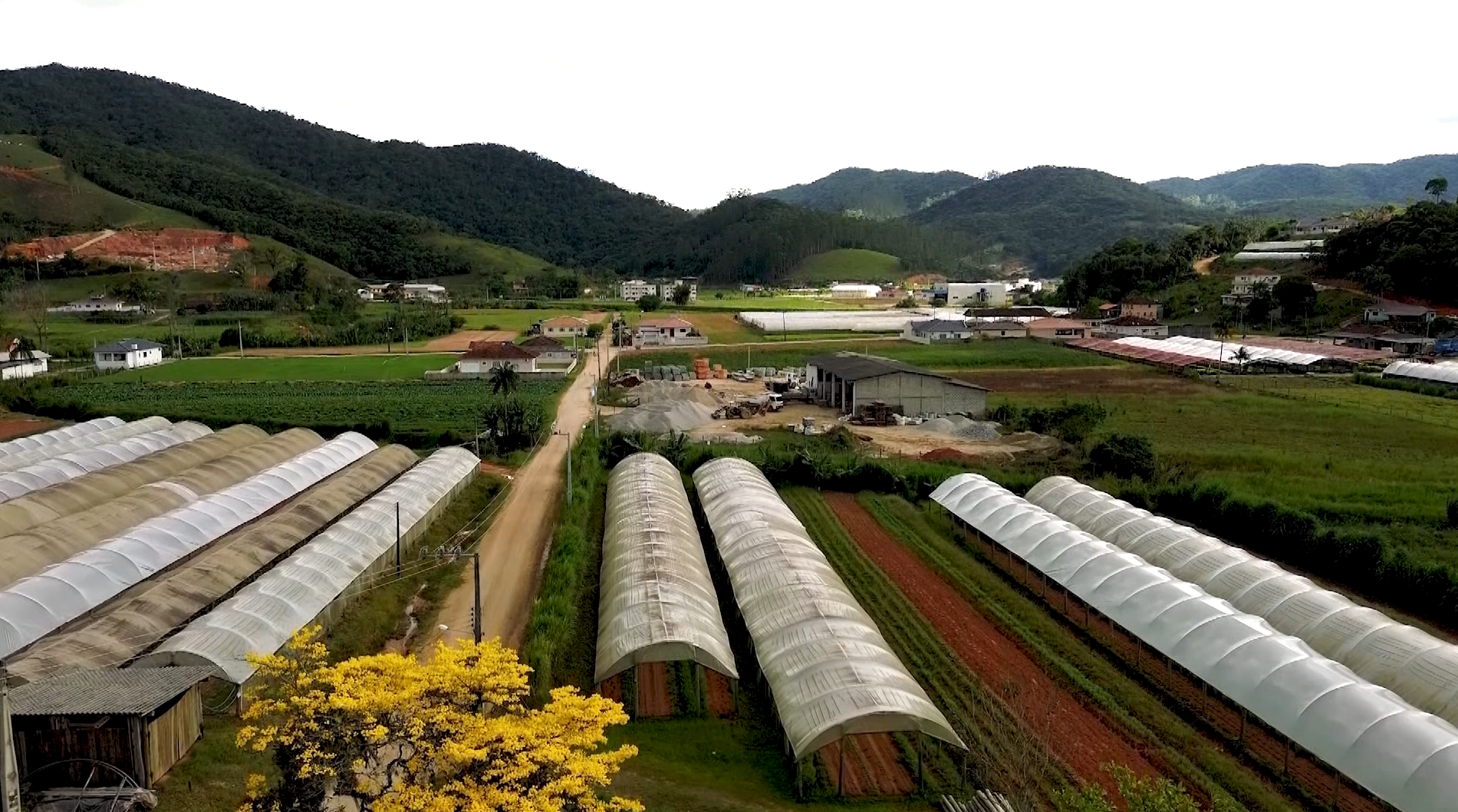Empresas do agro abrem mais de 400 vagas de emprego
