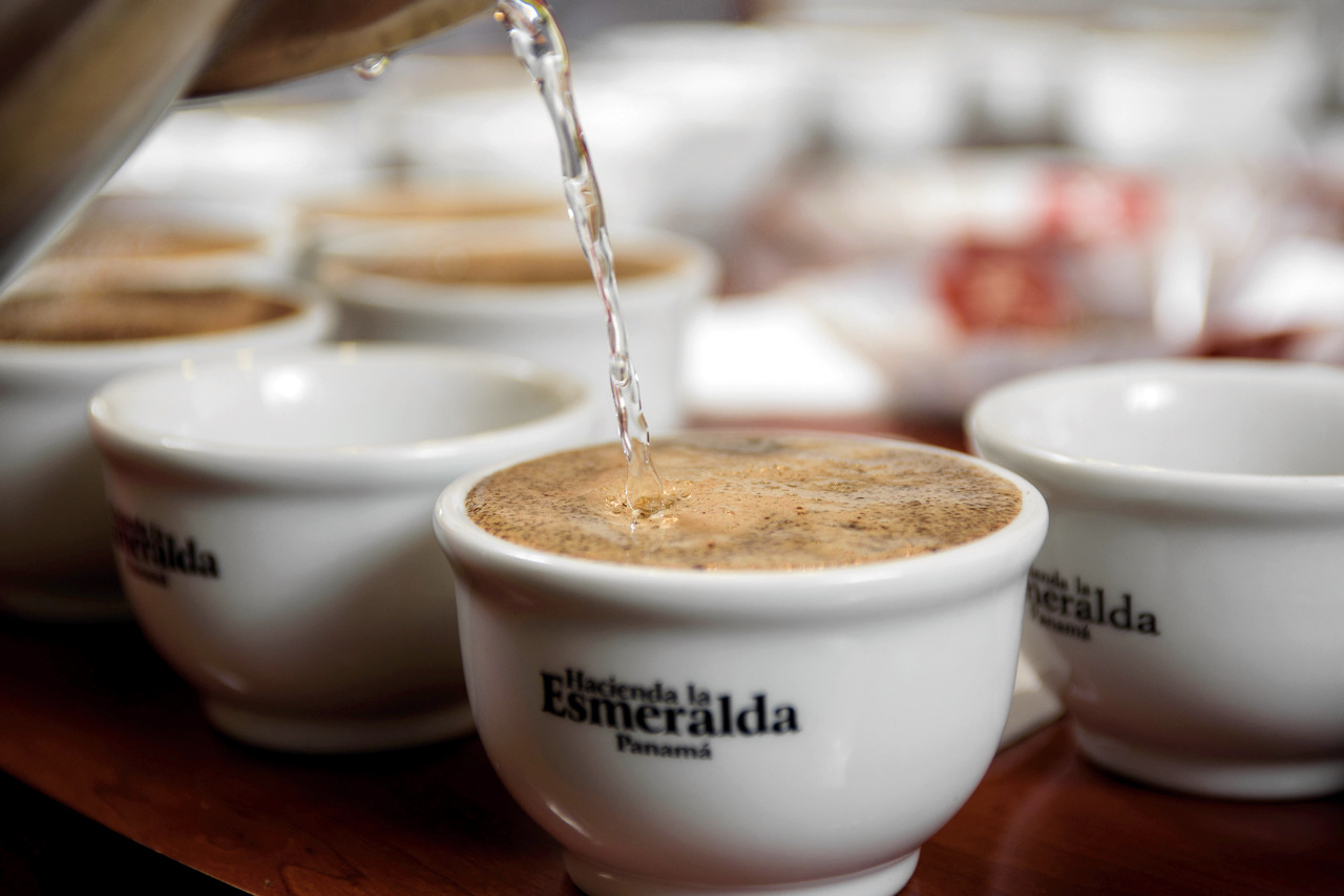 Conheça os 5 cafés mais caros e exóticos do mundo
