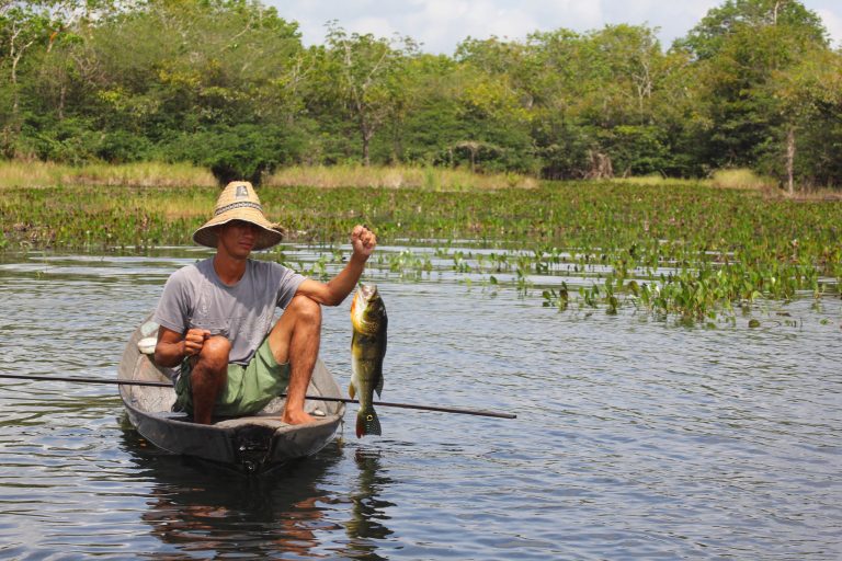 Pescadores – saiba como receber seguro defeso