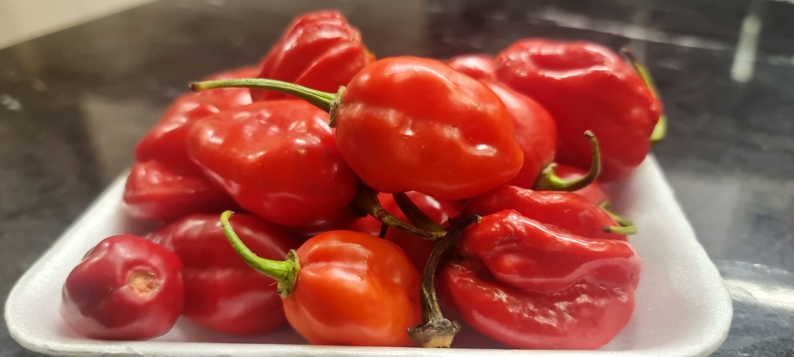 Pimenta habanero