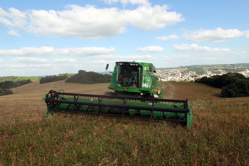 Paraná lidera produção e importação de feijão