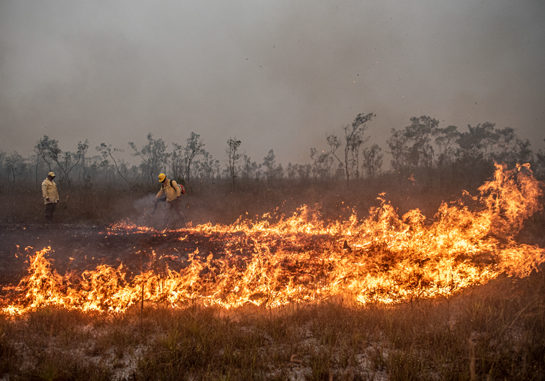 Governo anuncia plano de prevenção e combate a incêndios para 2025