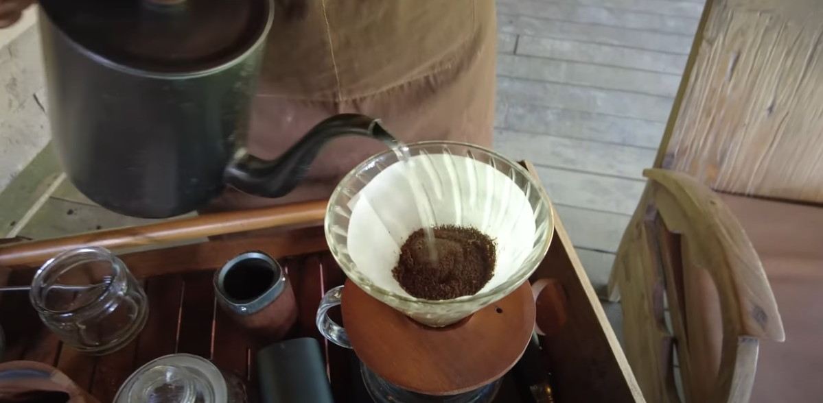 Civeta e o Kopi Luwak: o café mais caro do mundo