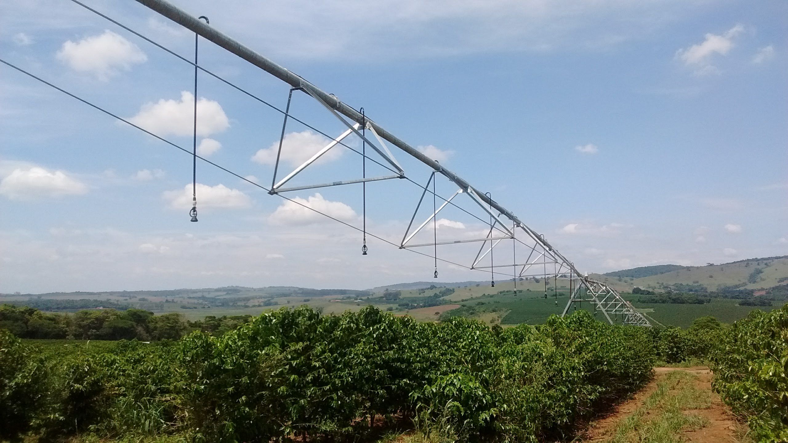 Certificação da cafeicultura familiar e mecanizada avança com tecnologias