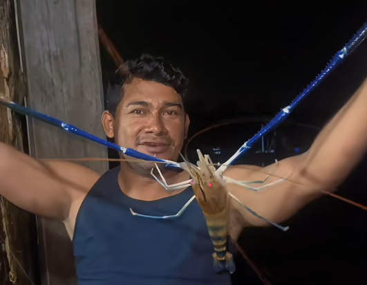Camarão-gigante-da-Malásia surpreende pescadores no Pará
