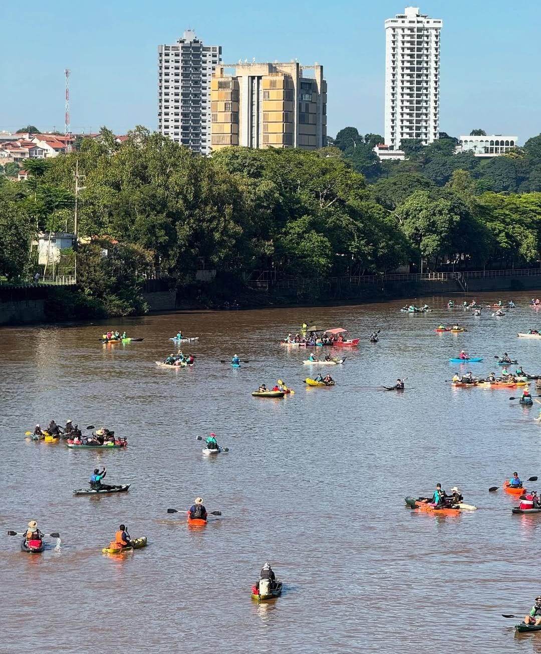 Passeio a Remo no Rio Piracicaba chega à 7ª edição