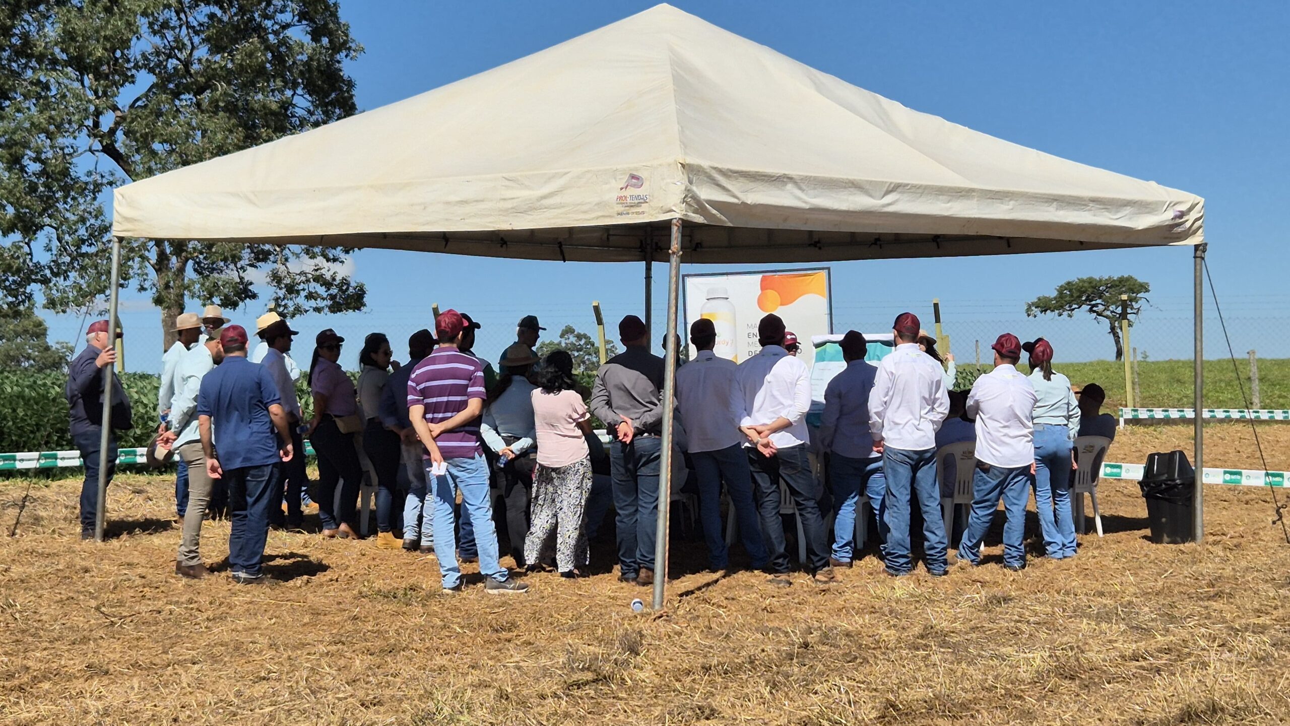 Produtores e especialistas se reúnem em dia de campo