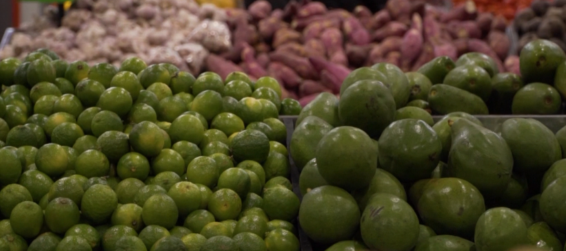 Brasil aumenta exportação de frutas em 49% em dez anos