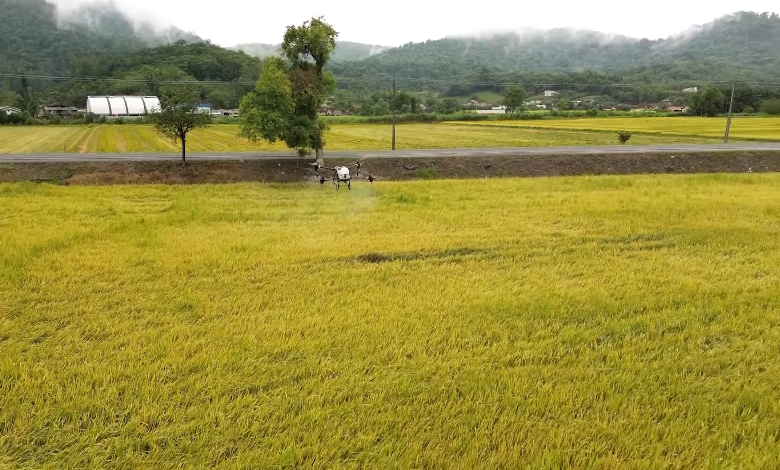 Tecnificação e fertilizantes inteligentes: o futuro da agricultura