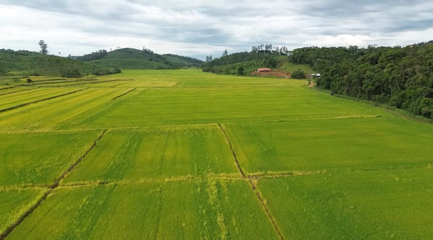 E-agro ultrapassa R$ 2 bilhões em crédito rural