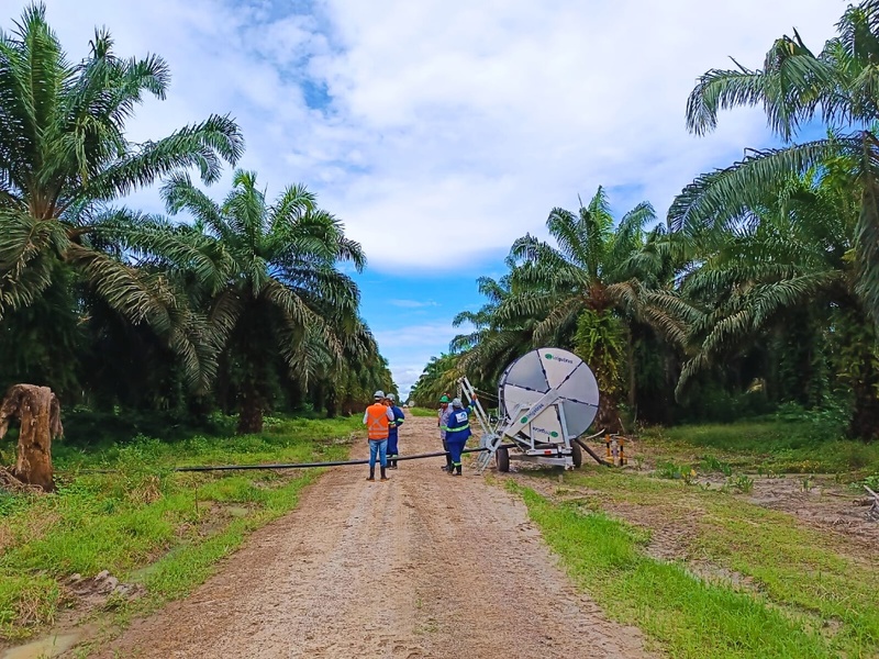 Conheça projeto de adubação sustentável no Pará