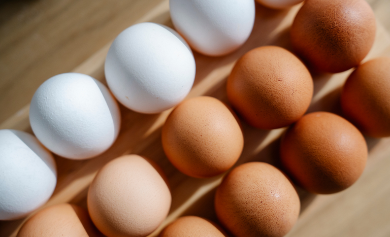 Consumo de ovos cresce no Brasil e impulsiona modernização da avicultura