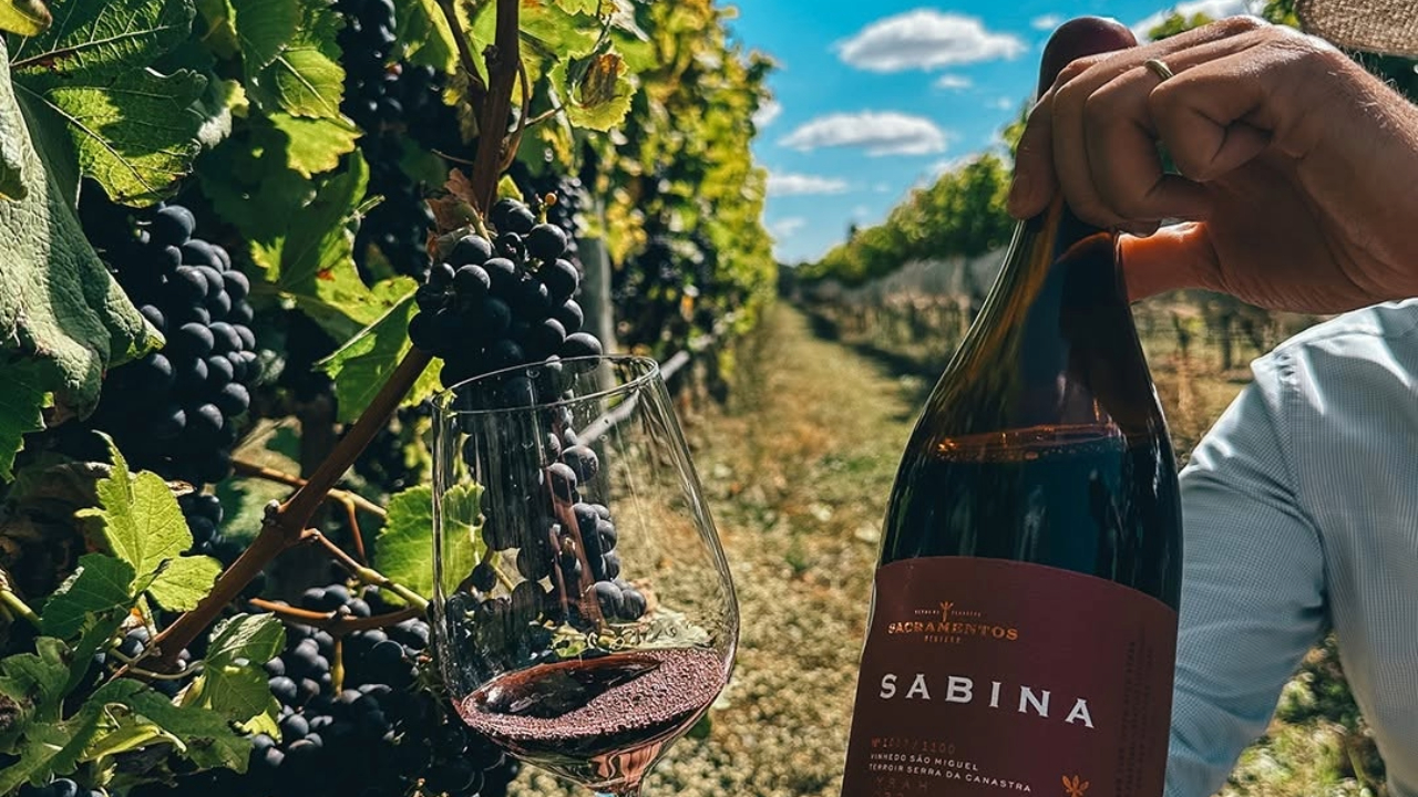 Veja qual foi eleito o melhor vinho tinto do Brasil