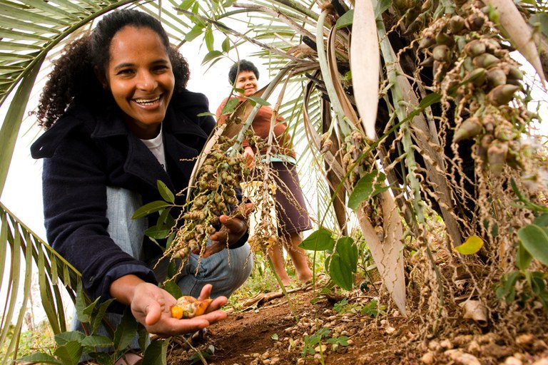 Novo Cadastro da Agricultura Familiar começa a operar no Brasil