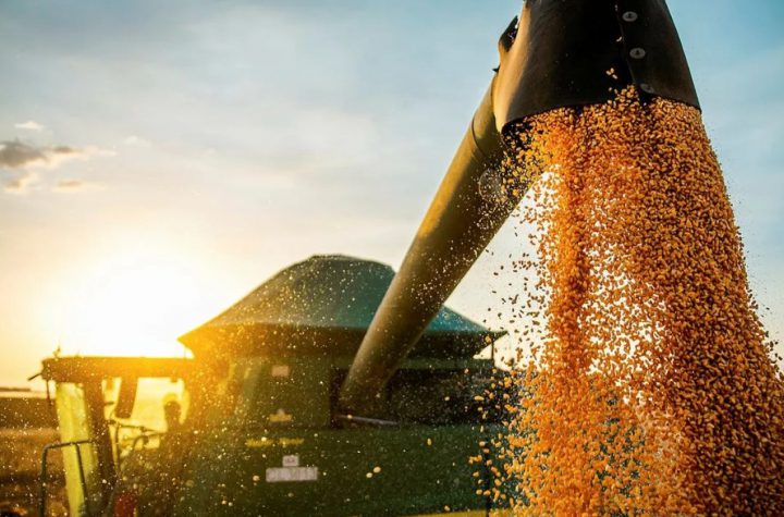 Agro da Bahia registra crescimento histórico