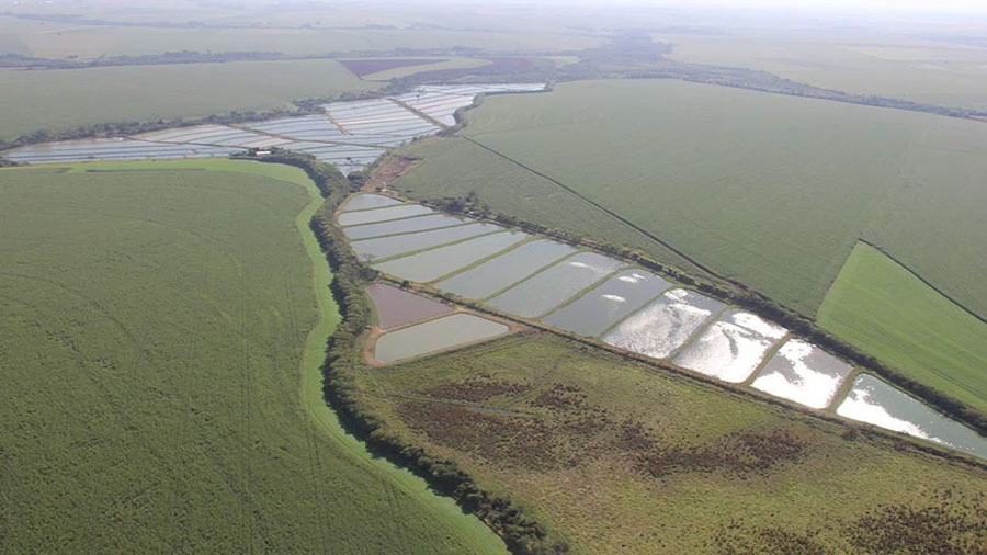 Agroindústria perde força e fecha primeiro semestre em queda