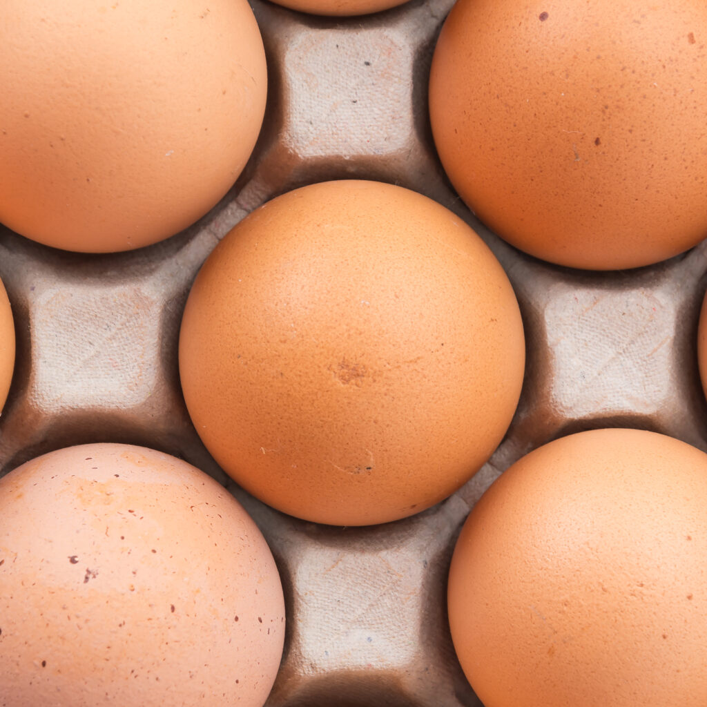 Exportações de ovos batem recorde histórico em maio. Cepea aponta também que os preços do frango vivo recuaram.