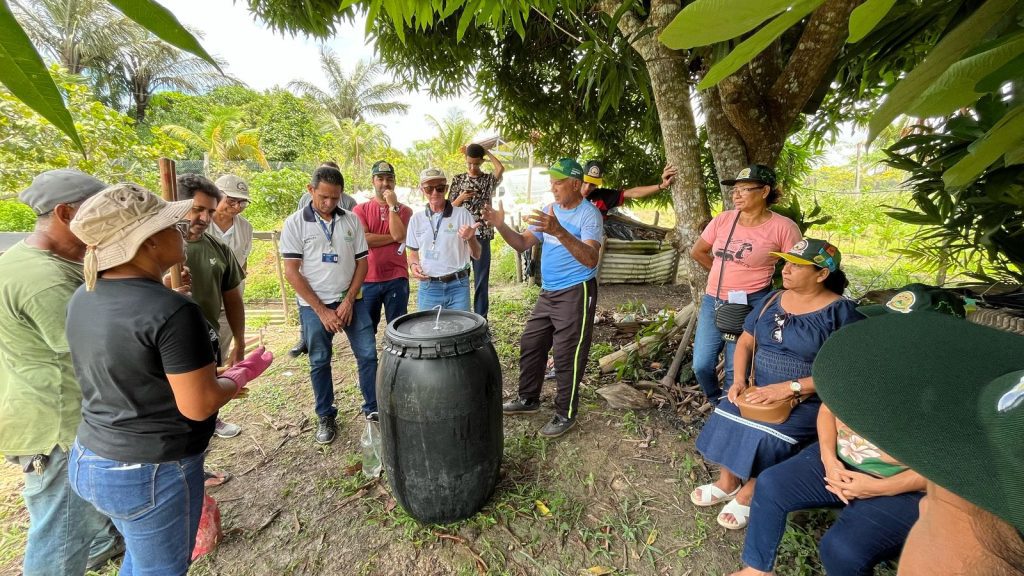 Agricultores de Manaus aprendem a produzir sem adubos químicos