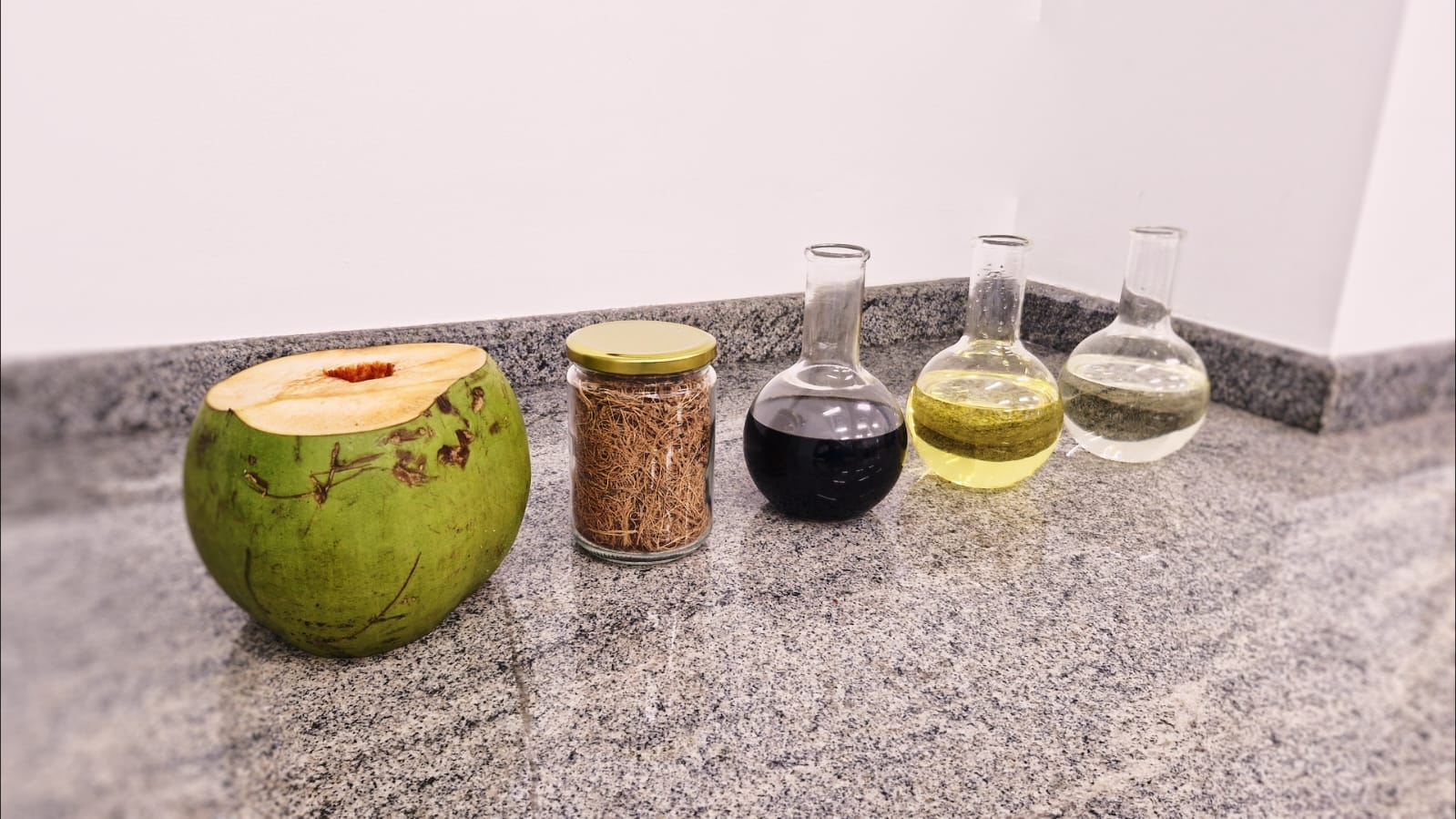 Biocombustível de coco verde impulsiona a transição energética no Brasil
