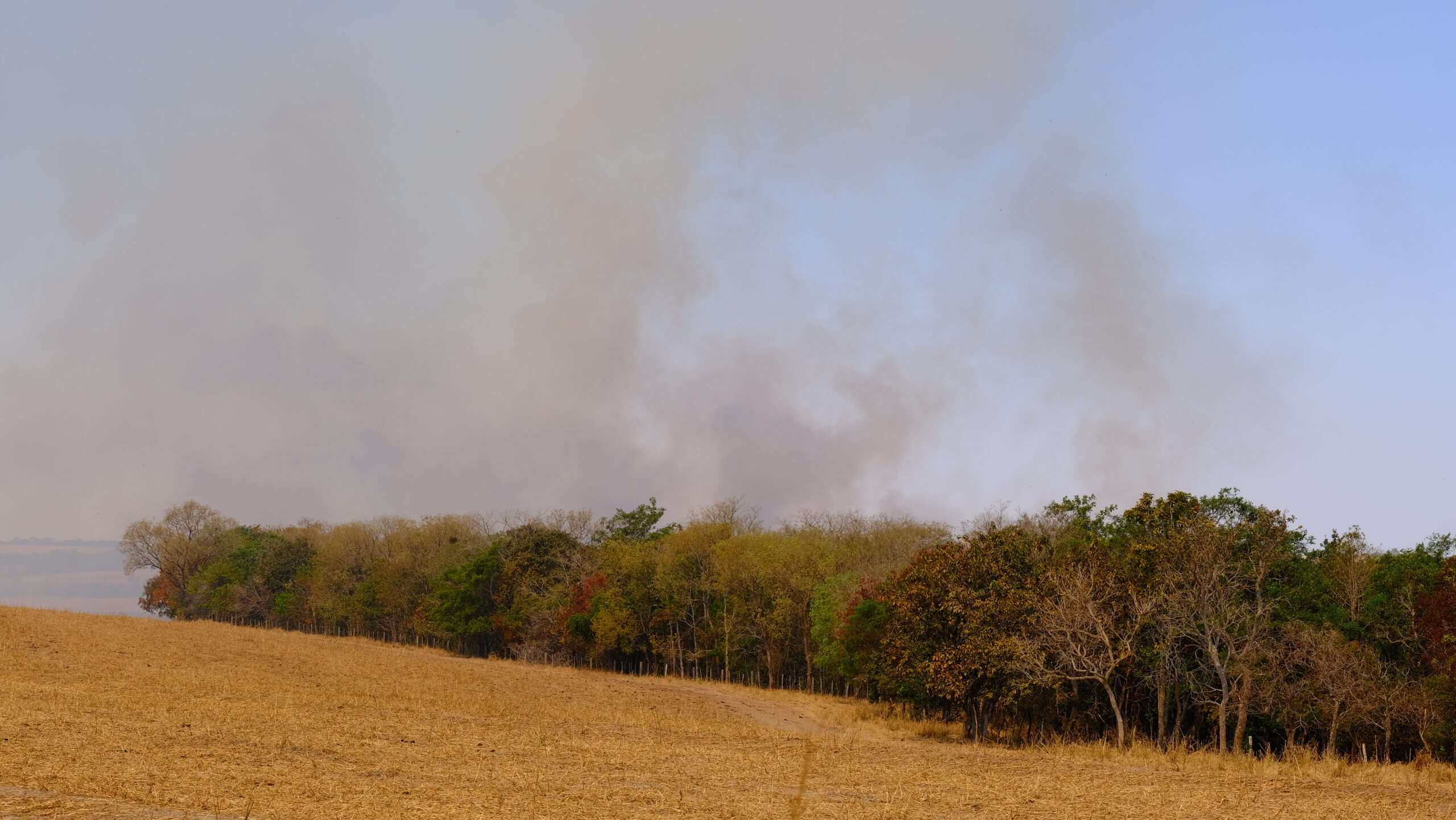 Cerrado: Caixa-D’Água do Brasil será lançado dia 12