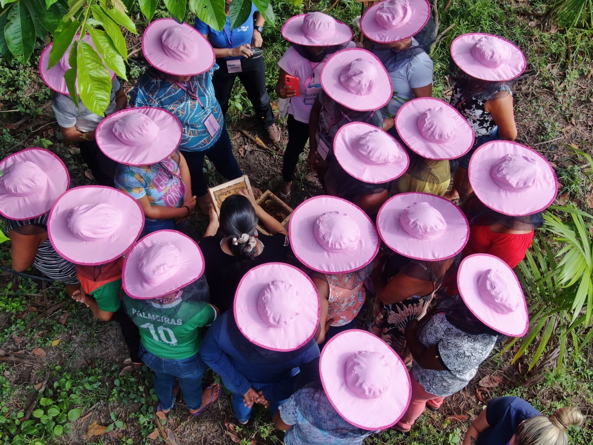 Abelhas sem ferrão: paixão e renda para agricultoras no Pará
