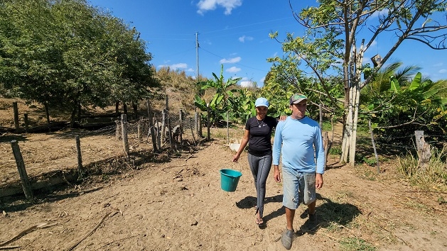 Garantia-Safra: agricultores mineiros recebem auxílio