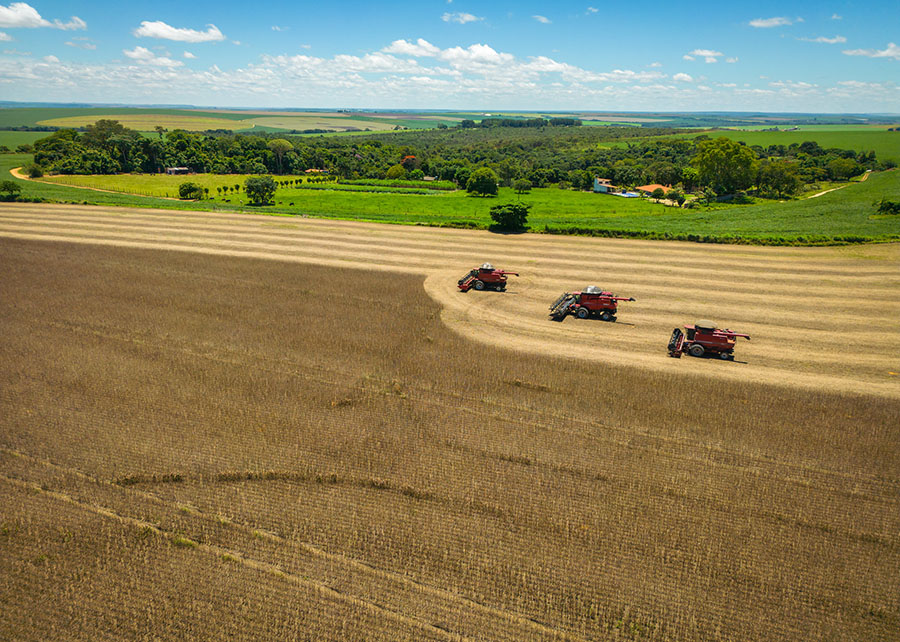 Estudo da Embrapa revela preço do carbono na agricultura brasileira: US$ 11,54 por tonelada