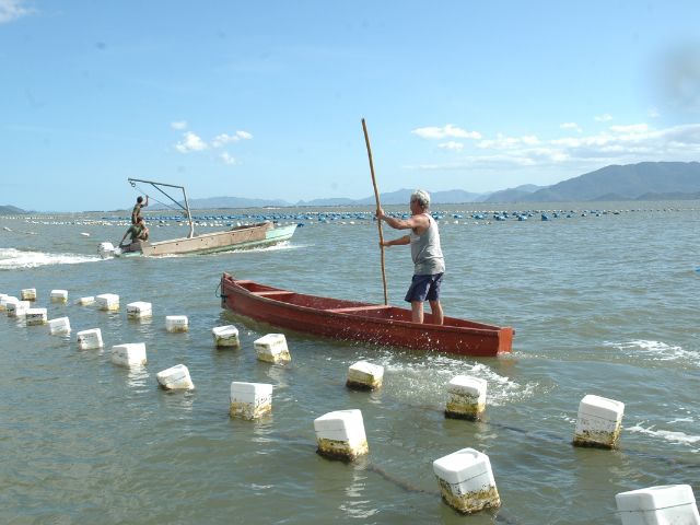 Maricultores