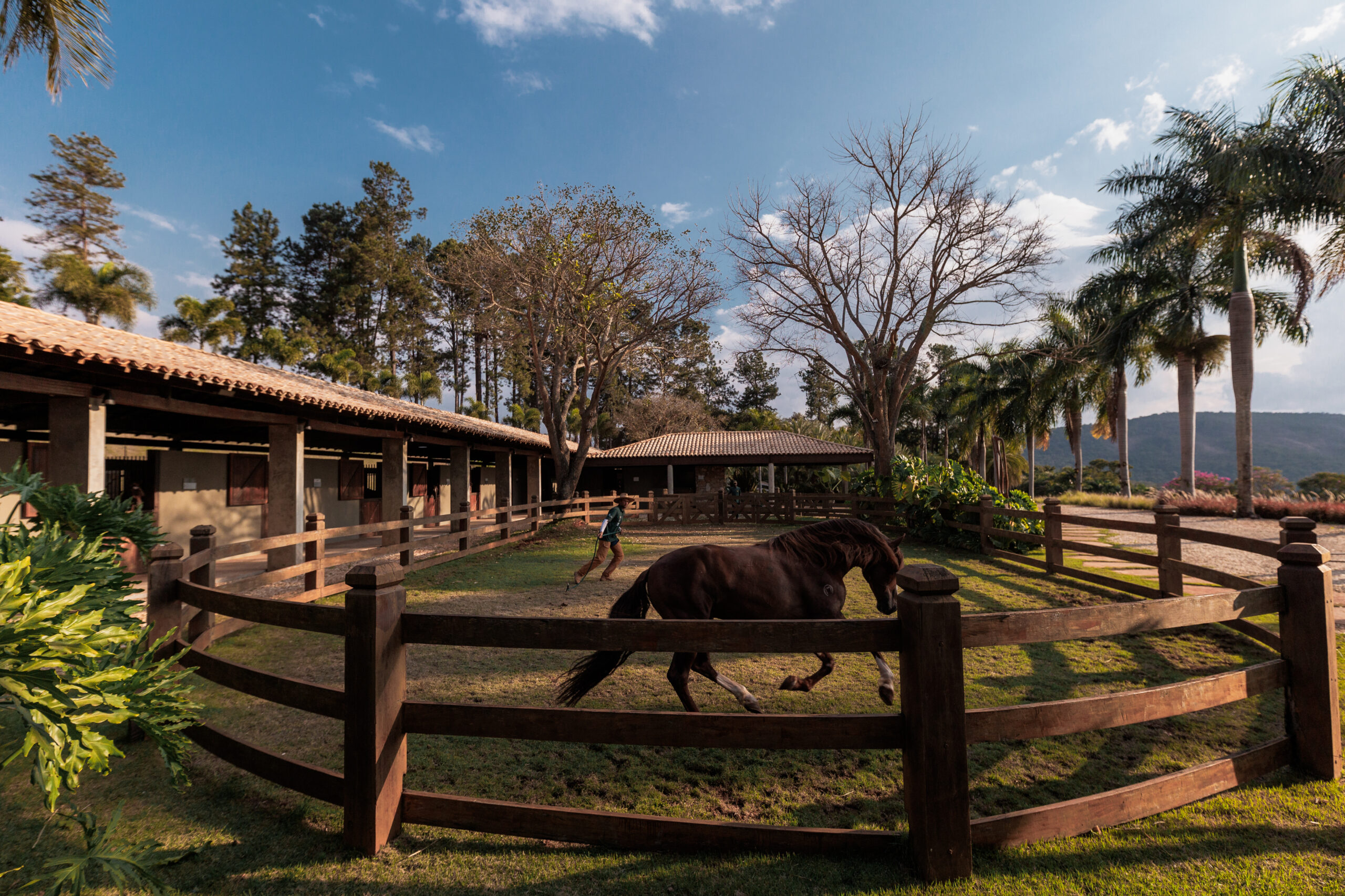 Condomínios equestres crescem e impulsionam mercado imobiliário