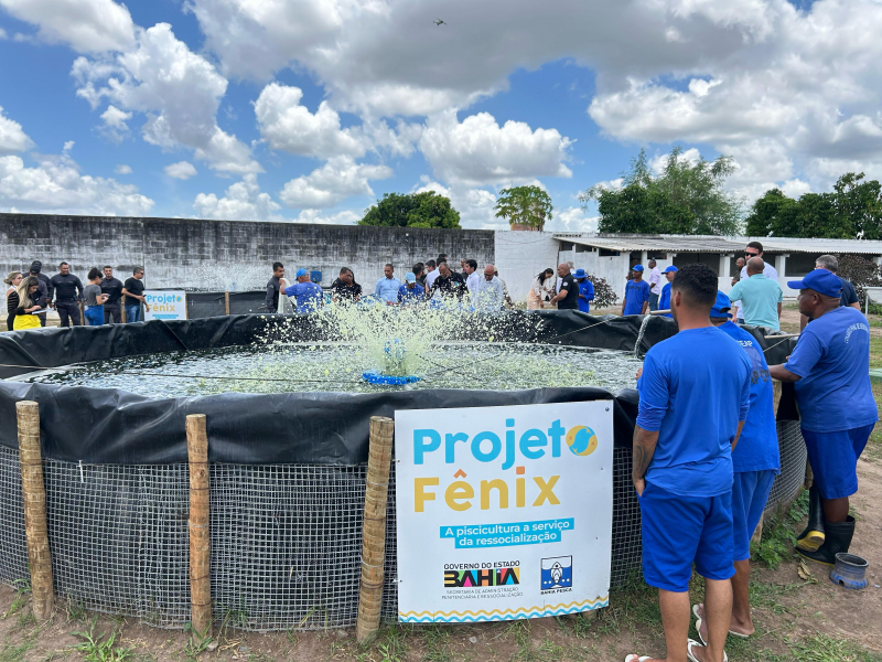 Projeto produz uma tonelada de tilápias em presídio