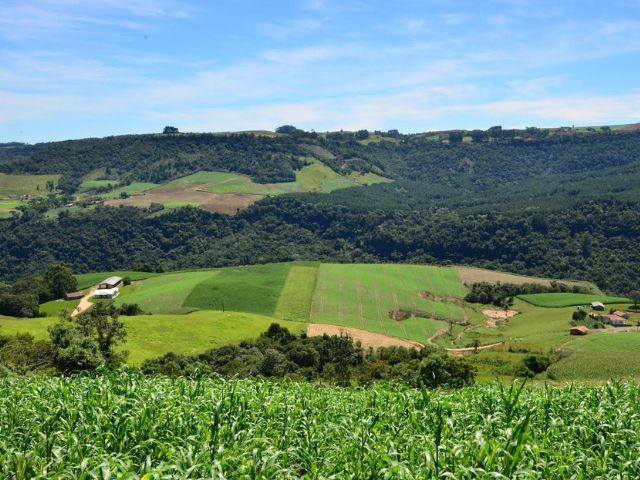 De Cafelândia a Palmital: conheça 10 cidades paulistas que nasceram do agro