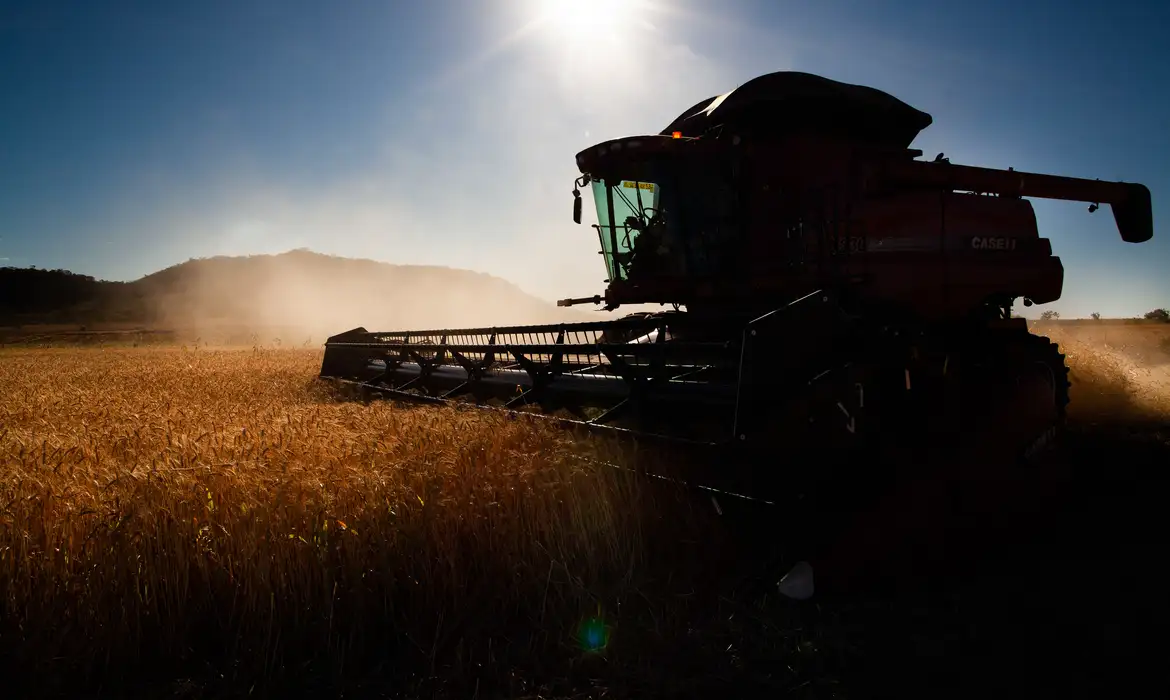 Governo prevê economia de R$ 3,8 bilhões com Proagro em 2025