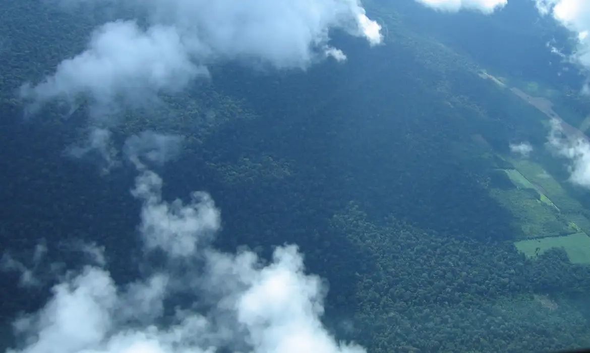 Petrobras investirá R$ 450 milhões em créditos de carbono na Amazônia