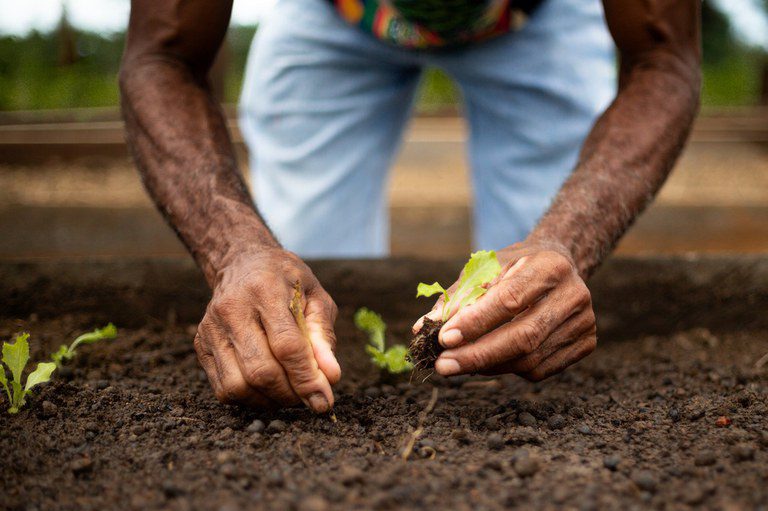 São Paulo amplia recursos para agricultura familiar