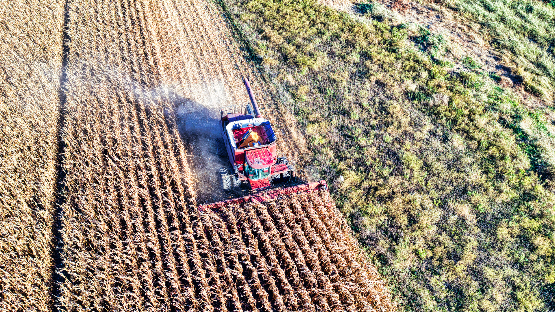 Artigo: a longa estrada entre o campo e o supermercado