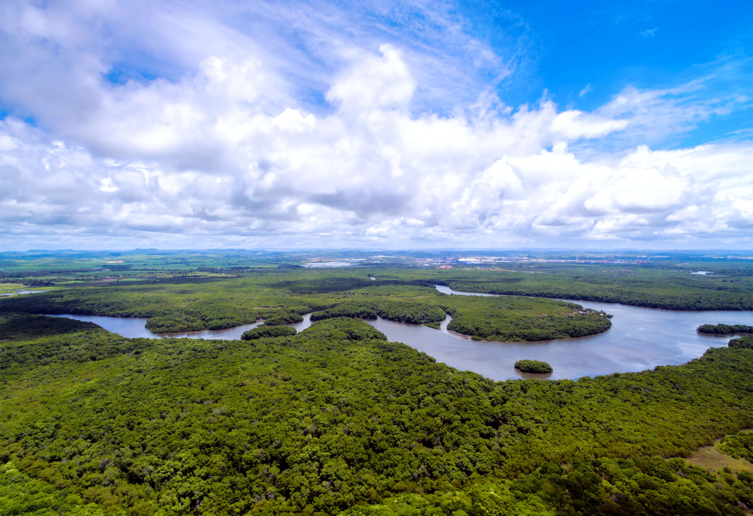Exporta Mais Amazônia conecta empresas a compradores de cinco continentes