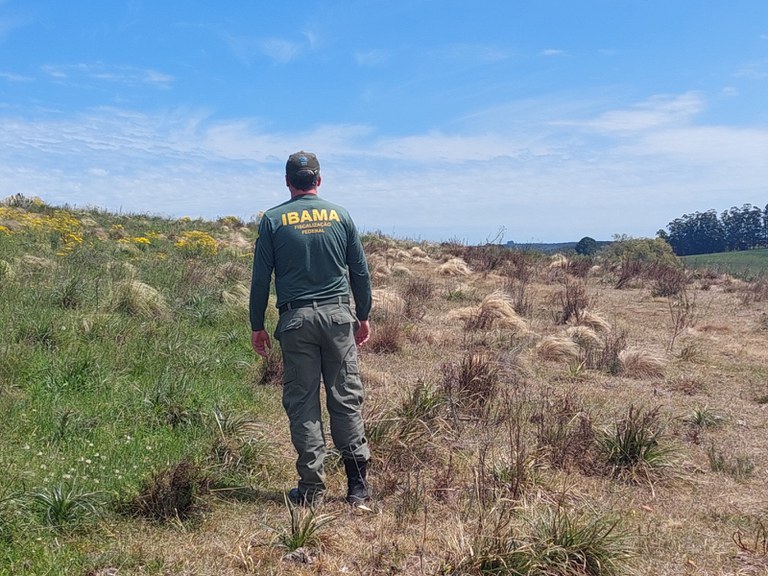 Grupo ataca agentes do Ibama na terra indígena Tenharim-Marmelos