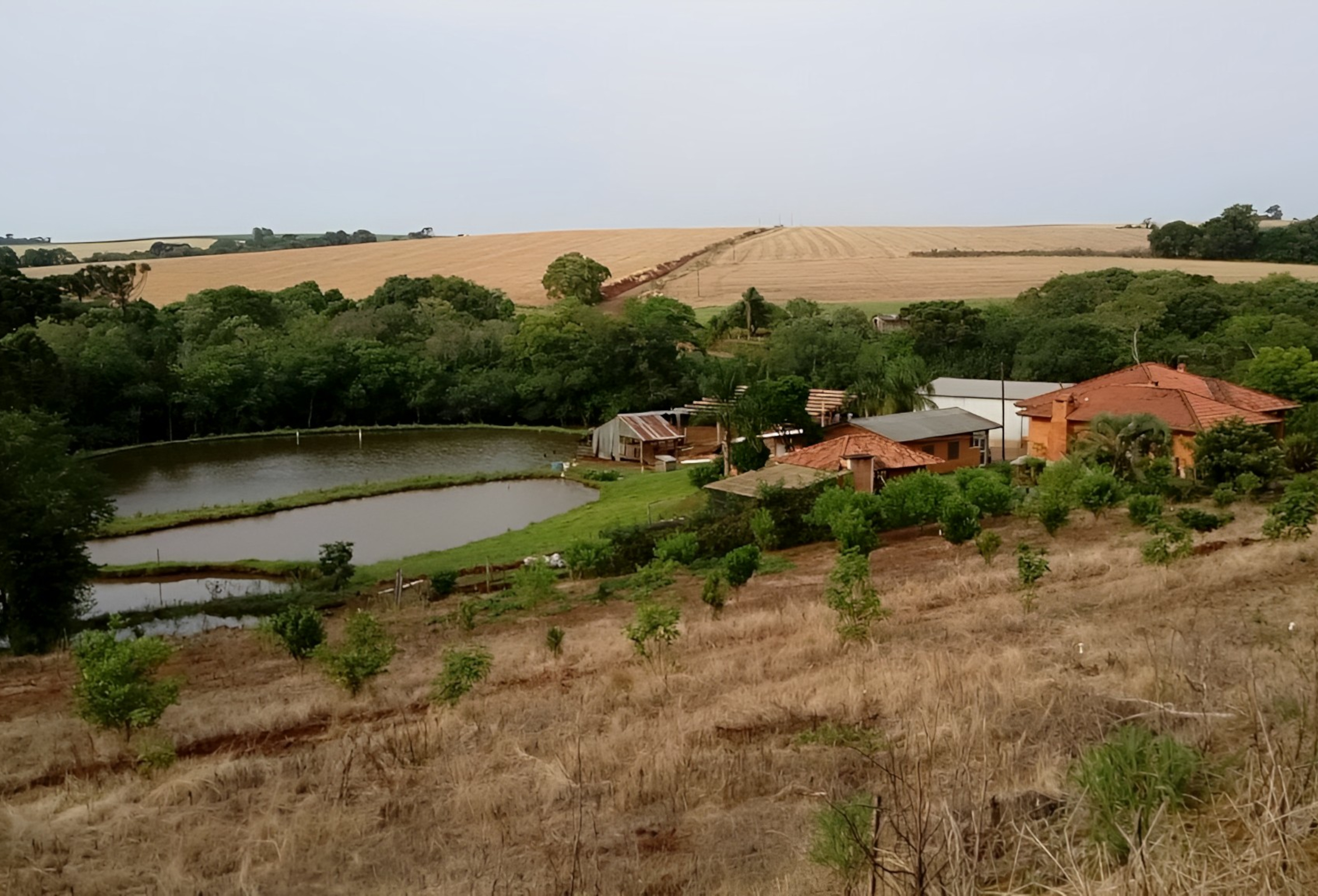 Abril Vermelho: como o produtor rural deve agir em caso de invasão de terras