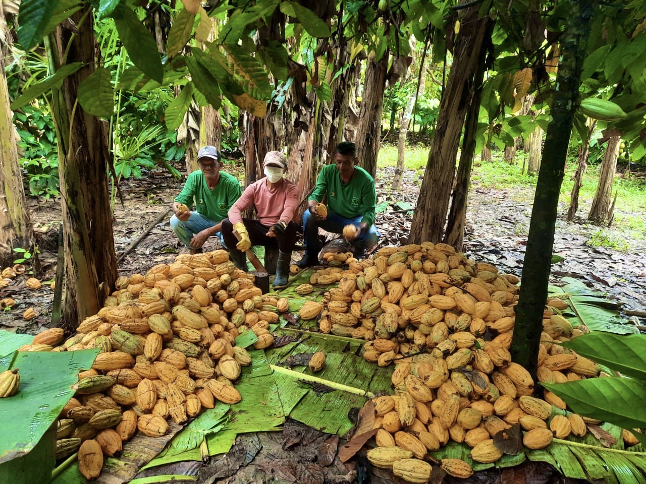 Bioconex conecta comunidades ribeirinhas e impulsiona bioeconomia na Amazônia